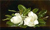 Magnolias on a Wooden Table